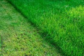 Weekly lawn mowing service in Sharon MA