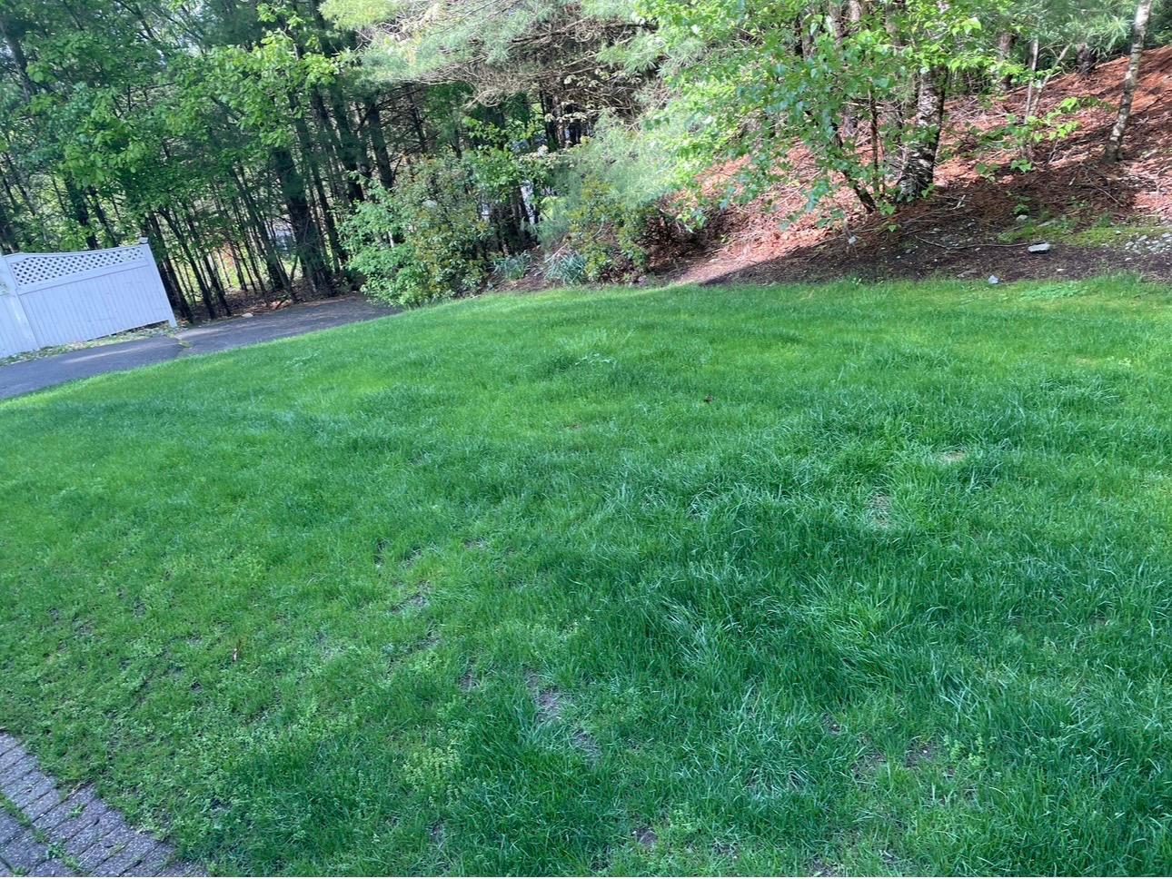 Professional weekly lawn mowing service on the South Shore MA