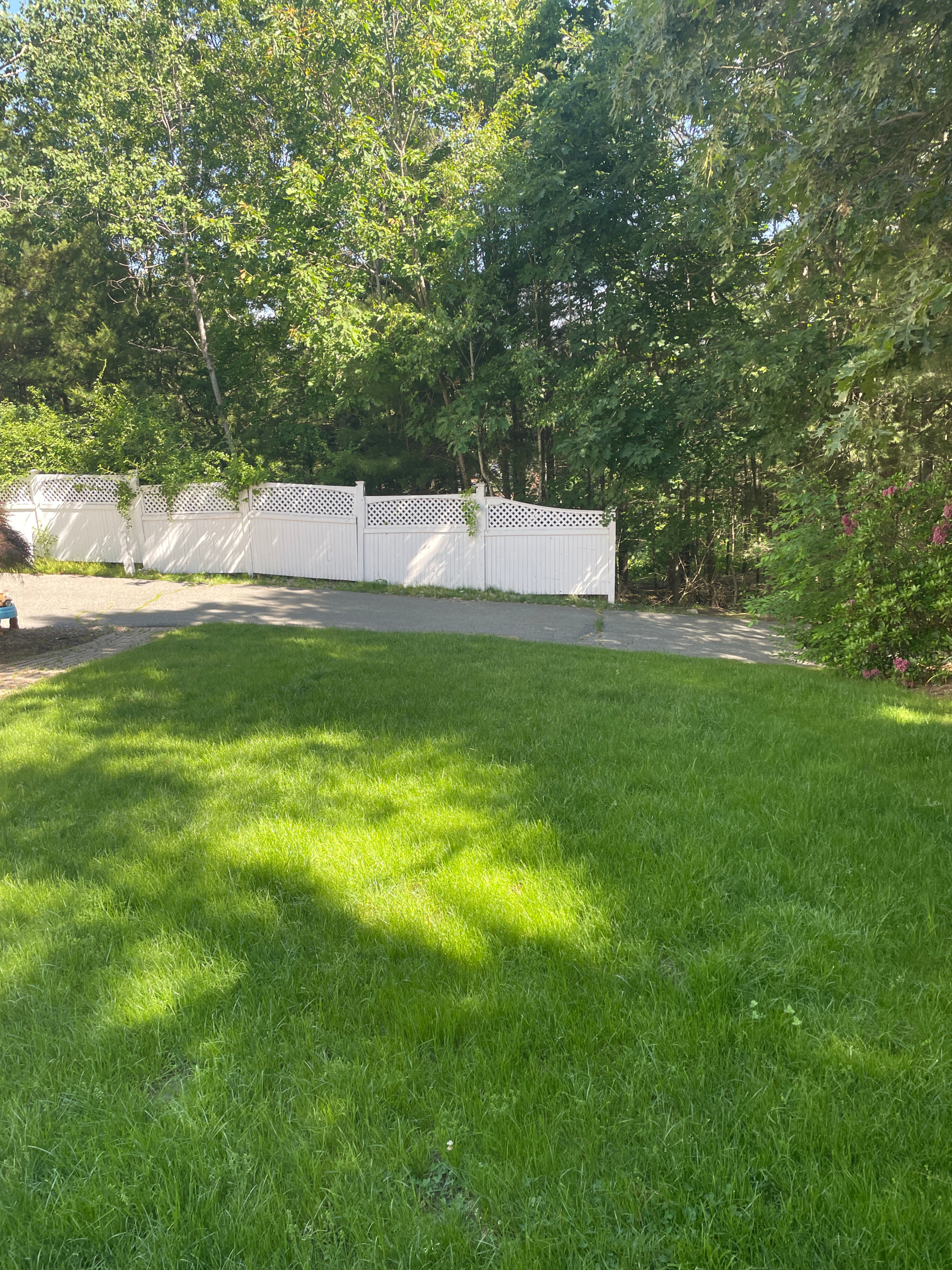 Clean weekly lawn mowing results in Canton and Norwood MA