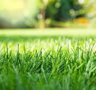 Weekly lawn mowing service in Norwood MA