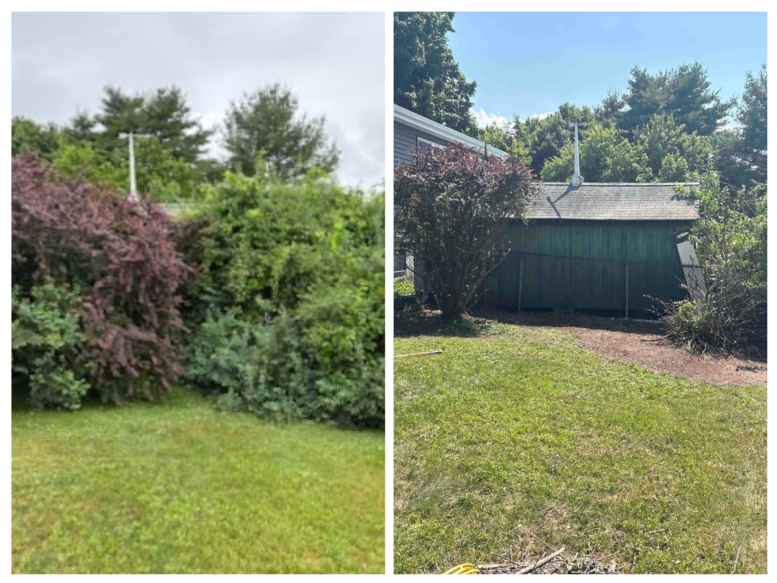 Before and after residential shrub removal project completed by South Shore Lawn Pros